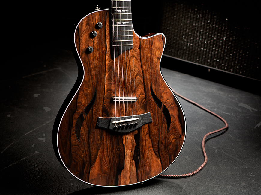 Build Your own Custom Guitar With Taylor Guitars